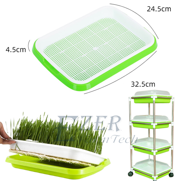 seedling tray